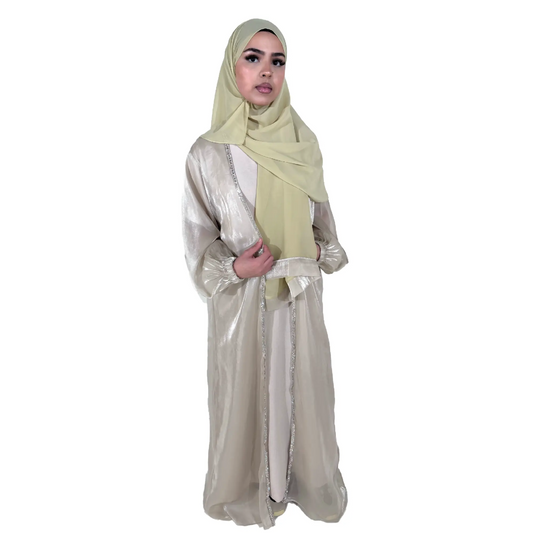 Organza Silk 4 Piece Open Abaya Style Dress